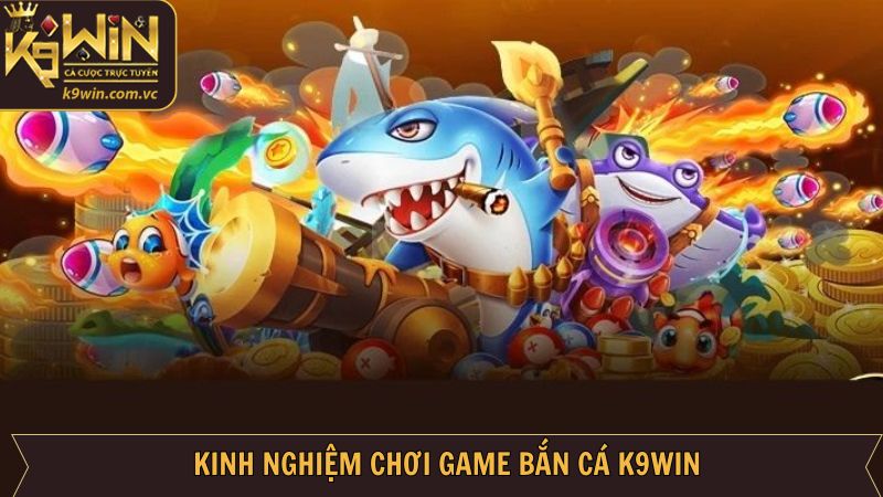 Chia sẻ kinh nghiệm săn được nhiều cá tại K9WIN