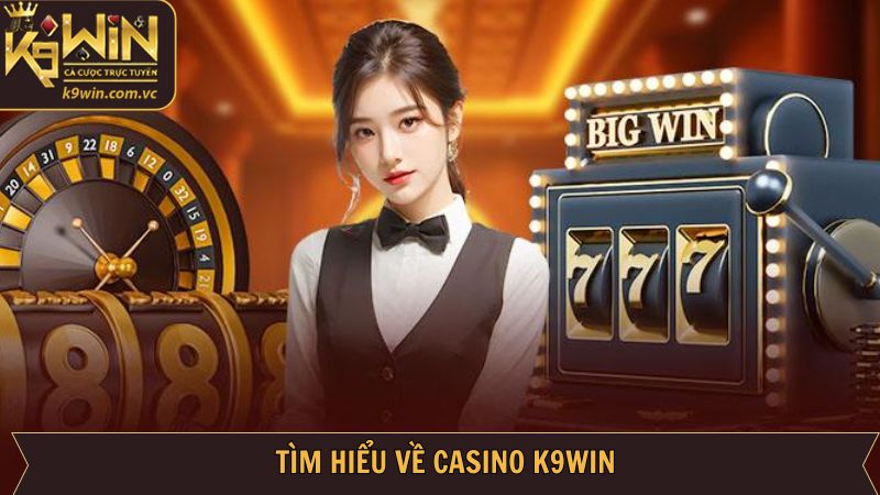 Giới thiệu sơ lược về sảnh cược Casino tại nhà cái K9WIN