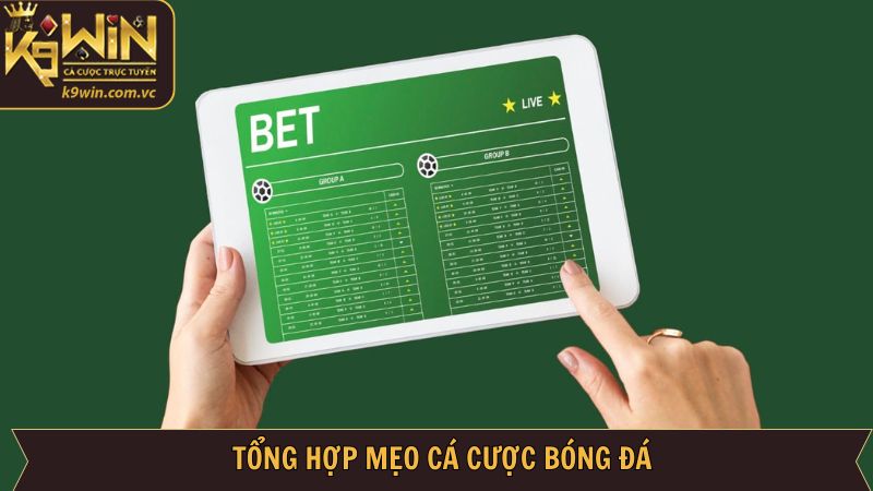 Bỏ túi 4 mẹo cá cược bóng đá bất bại
